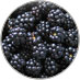 Blackberry