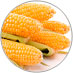 Corn Cob