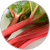 Rhubarb